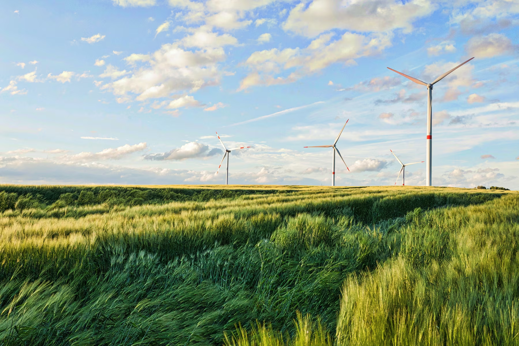 sustainable-future